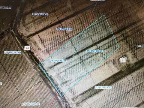 Commercial Land