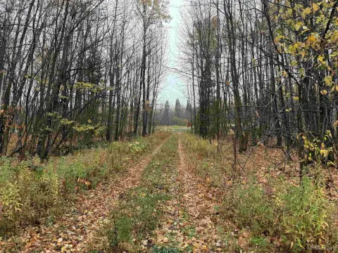40-Acre Hunting Property