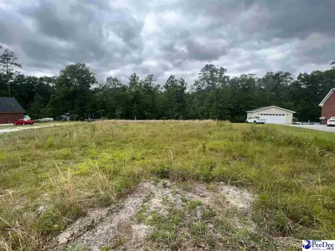 Residential Lot in Darlington, SC