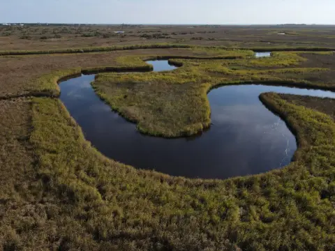 Hancock County Vacant Hunting Land