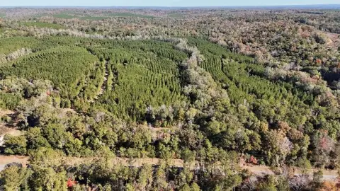 Timber and Hunting Tract