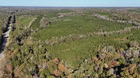 Hunting and Timberland with Highway Frontage