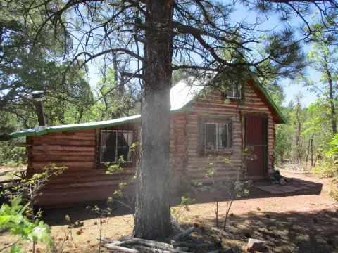 Private Wooded Acres with Cabin