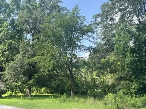 Residential Land Lot with Oaks