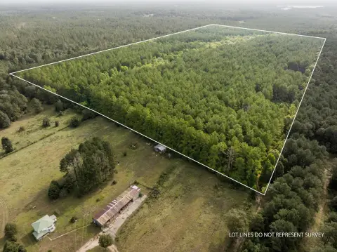 Timberland Hunting Tract