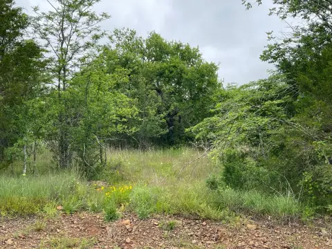 Wooded Recreational Land with Power Nearby