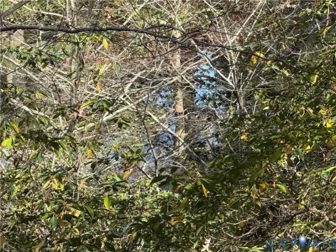 Residential Land in Riverview Plantation