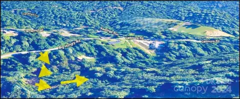 Flat Rock Land Opportunity