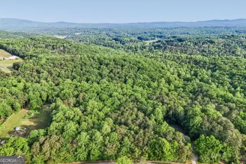 Raw Land in Canton, GA