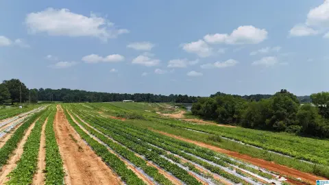 Farm with Mountain Views