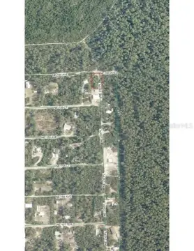 Ocala National Forest Land