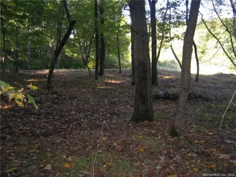 Stamford Buildable Lot For Sale