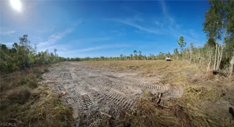 Cleared Land Parcel in Punta Gorda