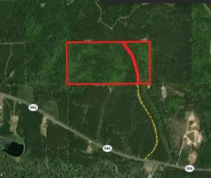 Wooded Hunting Land