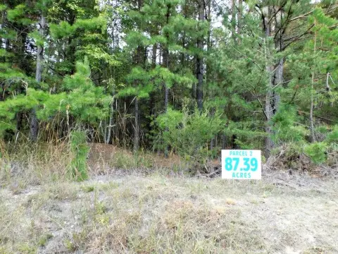 87-Acre Timberland Tract in Virgilina
