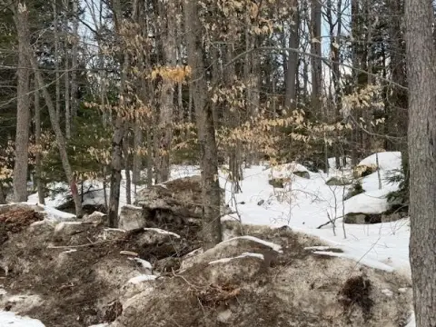 Albany Land on Route 16