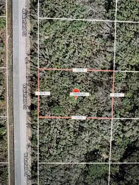 Commercial Land in Port Charlotte