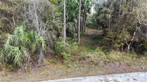 Naples Land with Development Potential