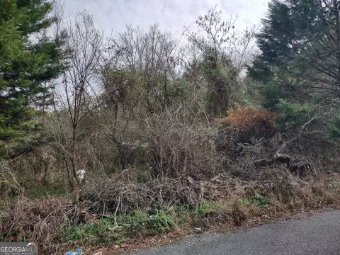 Corner Lot in Macon, GA