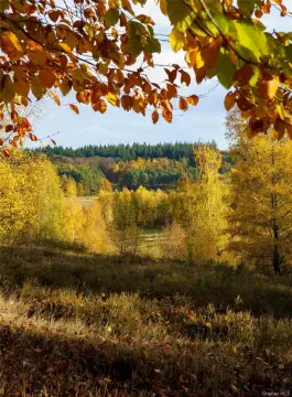Vacant Land in Fishkill, NY