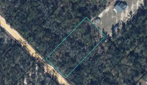 Wooded Residential Land Lot