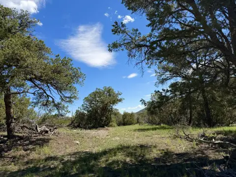 Mountain Land Parcel