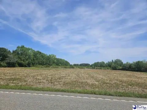 Dillon, SC Commercial Land