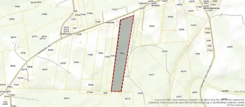 23.9 Acres of Wooded Land