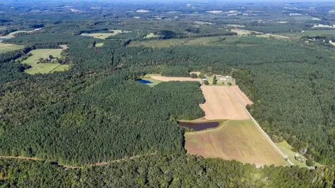 95 Acres Farm with Timber