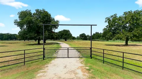 Agricultural Land with Mature Pecan Trees