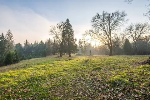 20 Acres Vacant Land