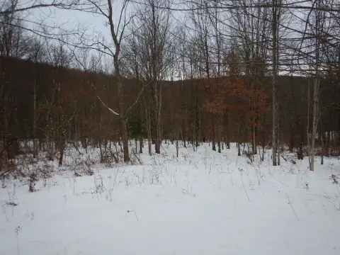 Large Acreage Recreational Land