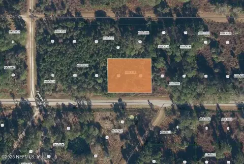 Georgetown, FL Unimproved Land Parcel