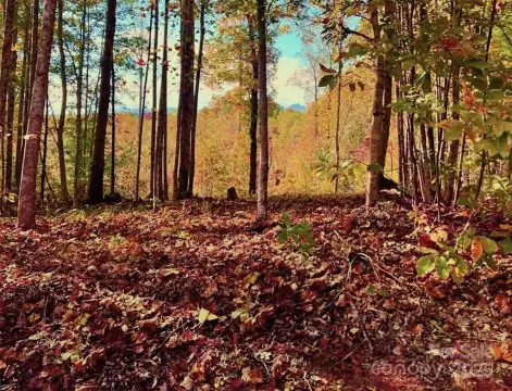 Land in Gated Mountain Community