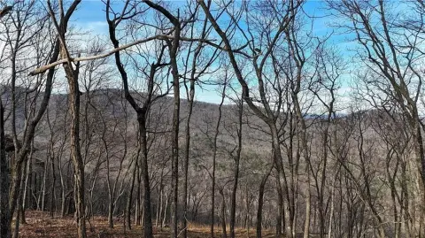 Residential Lot with Distant View