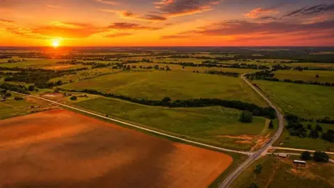Productive Irrigated Farm with Potential