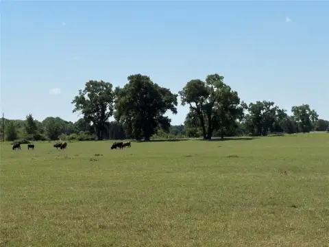 Gorman Ranch Ready for Livestock