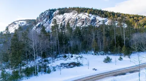 Conway Land with Brook Frontage