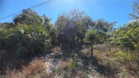 Residential Land in Lehigh Acres