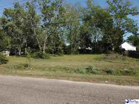 Residential Lot in Latta, SC