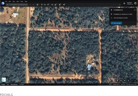 Hawthorne Land Near Gainesville