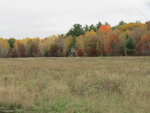 Hunting Land with Tillable Acreage