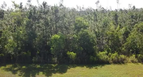 Homesite in Gated Preserve