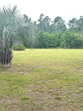 Oversized Buildable Land Lot