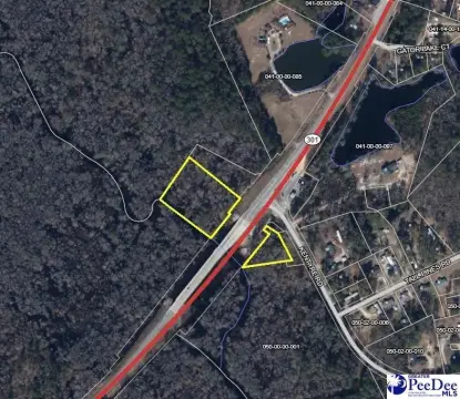 Dillon, SC Acreage For Sale