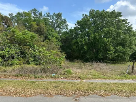 Residential Lot in Davenport, FL