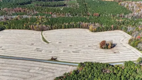 Undeveloped Land in Lunenburg County