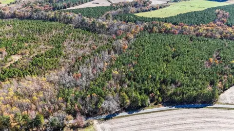 Undeveloped Land in Lunenburg County