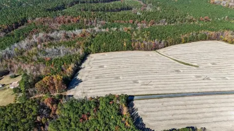 Undeveloped Land in Lunenburg County