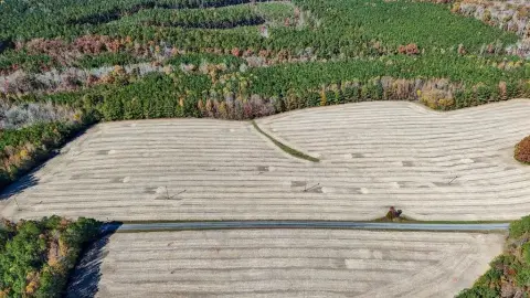 Undeveloped Land in Lunenburg County